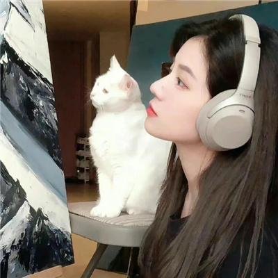 猫眼女枪手